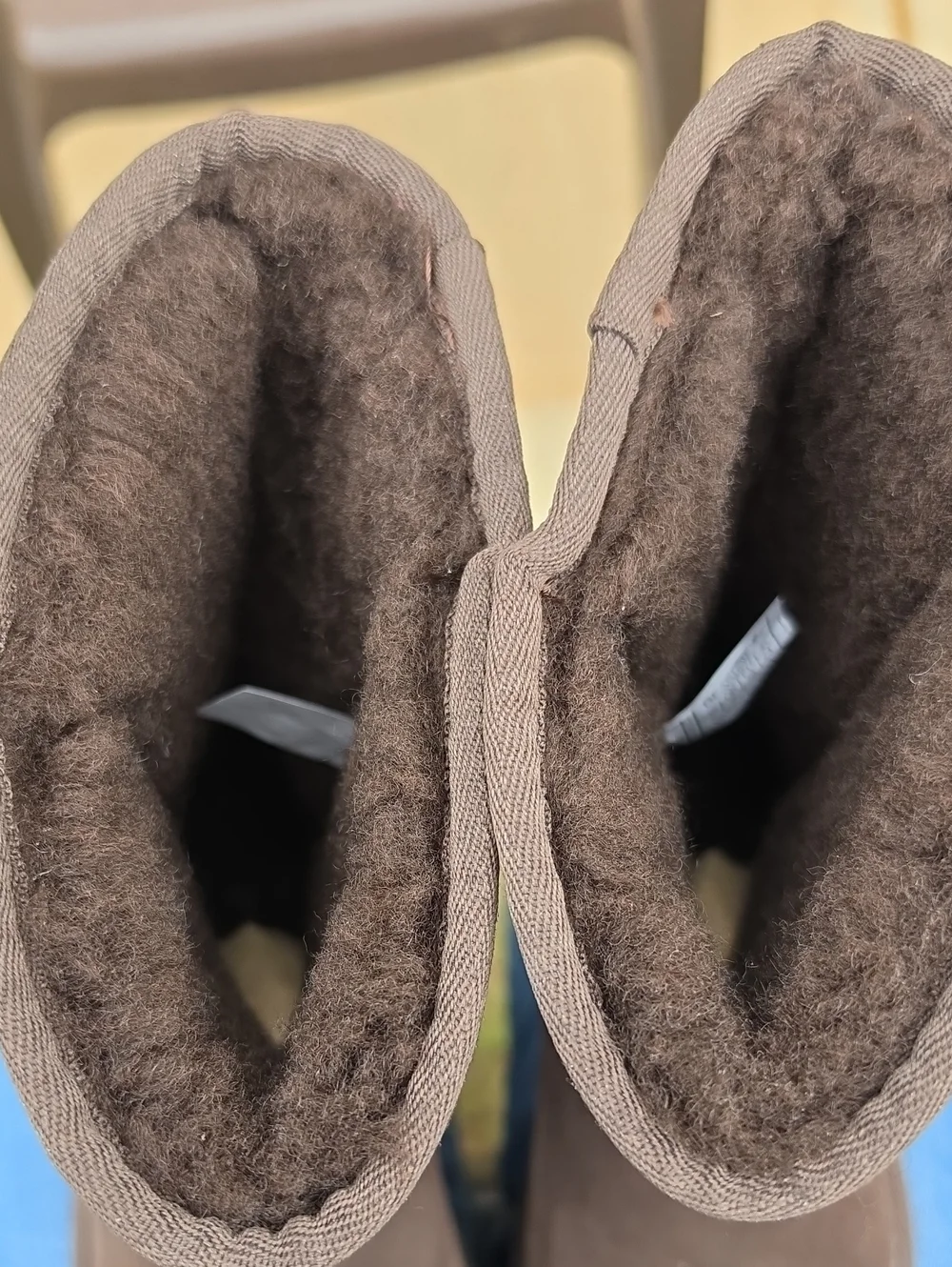BearPaw elle short